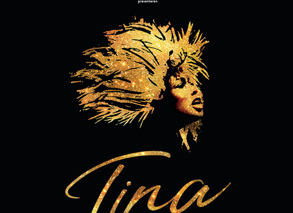 De Tina Turner Musical - voorstelling zaterdag 14:00 uur incl. ontvangst en pauze arrangement