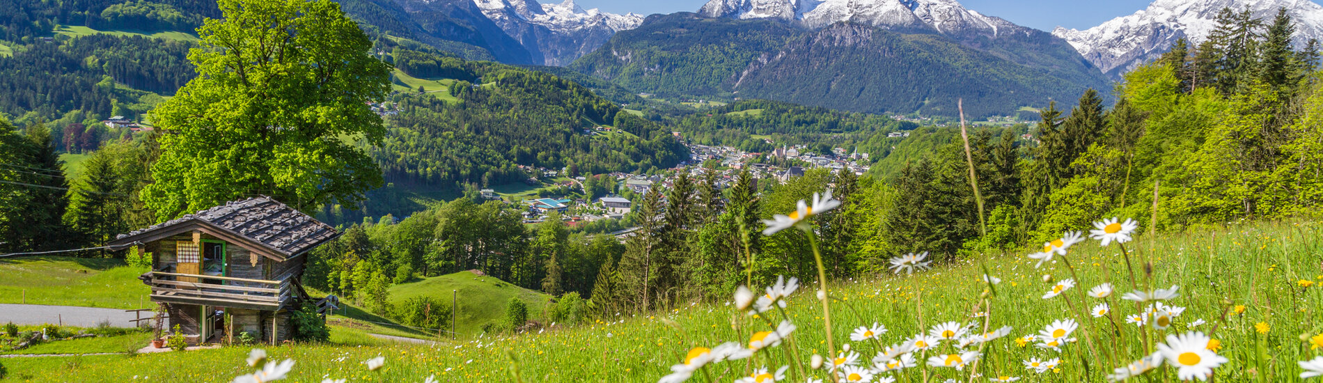 Busreis Kirchberg, 9 dagen Kitzbüheler Alpen